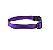 Wagtime Club Reflective Dog Collar with Buckle Quick Release Adjustable Nylon Collar for Small Medium Large Dogs (Medium, Vibrant Purple)