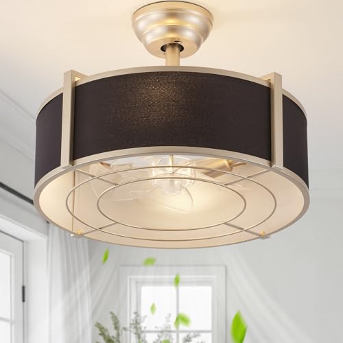 SYDACG Black and Gold Fandelier with Light