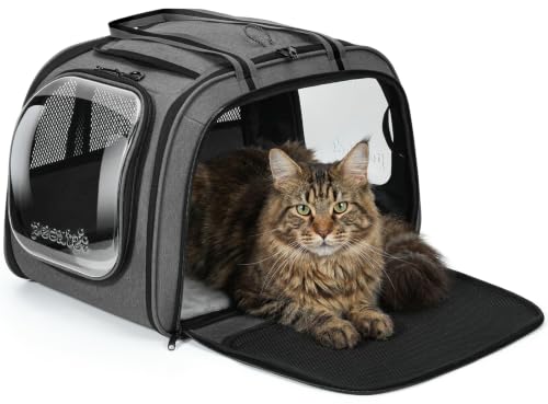 pecute Transportbox Hund XL mit Sichtfenster 55×38 ×35 cm, Grau