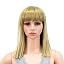 Dirty Blonde Highlights