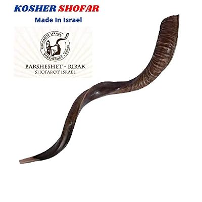 37 Kudu Yemenite Horn Shofar Kosher All Polished New