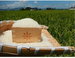 （新米）令和8年産 富山県小矢部市産 てんたかく 玄米30kg(30kg×1袋)