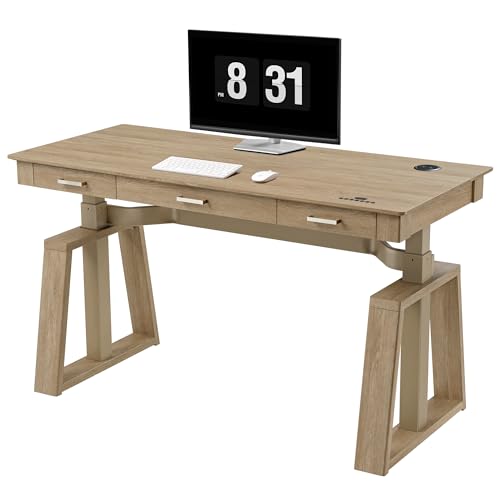 Image of EUREKA ERGONOMIC Standing Desk,60x26 Executive Desk with 3 Drawer Adjustable Height Electric Desk Home Office Computer Desk Modern Workstation with Memory Controller