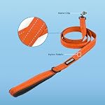 Voyager Reflective Dog Leash with Neoprene Handle, 5ft Long, Supports Small, Medium, and Large Breed Puppies, Cute and Heavy Duty for Walking, Running, and Training – Orange (Leash), M