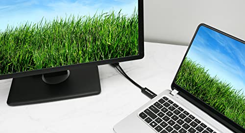 Iogear 4K @60Hz Hdmi To Displayport Adapter, Hmdi Output To Displayport Input, 4K @60Hz Hdmi To Dp Adapter, Compatible With Displayport Monitors, Ps5, Xbox, Nintendo, Supports 1080P @120Hz (Ghdmdpfb) #TOP3