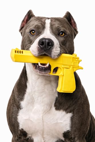 KANDE Products Durable Nylon Dog Chew Toy for Medium & Large Dogs Tough Chew Toy for Aggressive Chewers Helps Clean Teeth for Strong Jaws Beef Flavor (Yellow)