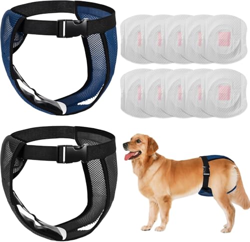 2 Pack Hündin Läufigkeitshose, Höschen für Hunde Läufigkeit, Schutzhose Hündin Waschbare, Hundehose Wiederverwendbare mit 10 Damenbinden, Verstellbare Hundewindeln für Hündinnen (XXL)