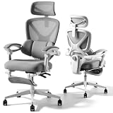 FLEXISPOT Sedia da Ufficio Ergonomica, Sedia Girevole a Forma di X con Inclinazione a 135°, Braccioli Collegati, Supporto Lombare Regolabile, Poggiatesta 5D e Poggiapiedi,Bianco-Grigio