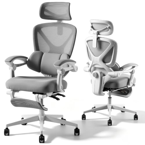 FLEXISPOT Ergonomic Office Chair, Zone Adjustable Lumbar Support & Footrest