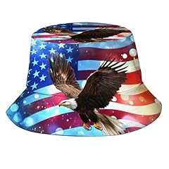 America Bald Eagle 1