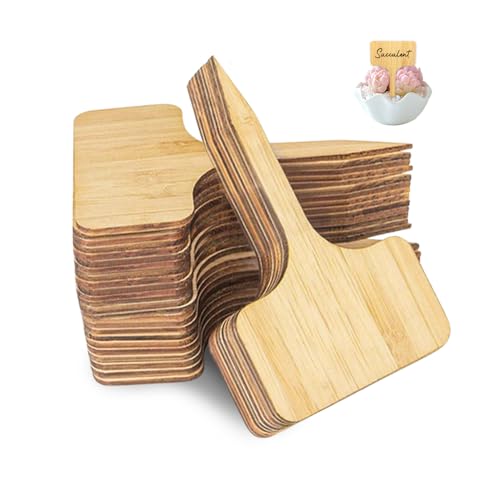 GIDWRIY 40 Piezas Etiquetas Plantas Bambu,Carteles Huerto Exterior,Etiquetas Jardineria,Plant Name Tag,Marcadores Plantas,Marcadores Jardineria para Huerto para Planta, Verduras, Hierbas, Flores