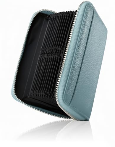 [NEESE] �N���W�b�g�J�[�h�P�[�X �J�[�h���� �X�L�~���O�h�~ ����΂� ��e�� �R�C���P�[�X �����Y ���f�B�[�X (�ő�28���J�[�h���[, �A�C�X�u���[)