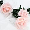 220p Corsage Pins, Boutonniere Pins, Boutineer Pin, White Pearl Pins, Wedding Bouquet Pins for Jewelry, Flower DIY Crafts #2