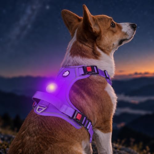 Joytale Harnais Chien LED avec Étui AirTag Anti-Traction, Violet S