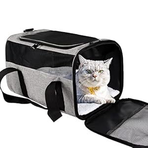 Cat Carriers Dog Carrier Pet Carrier for Small Cats Dogs Puppies Under 15Lbs,Top Load Carrier Soft Sided,Collapsible Travel Puppy Carrier (Medium, Grey&Black)