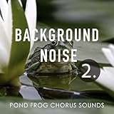 Soothing Sound Records