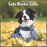 Cute Border Collie 202A2 calendar: Official Border Collie Calendar 2022