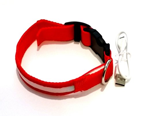 Maison Terre Natural Products LED Nighttime Dog Collar USB Rechargable in Red (M)
