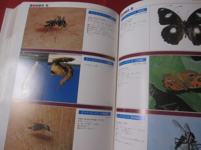 Amazon.co.jp: 沖縄有毒害生物大事典 動物編 沖縄琉球自然生物 : おもちゃ