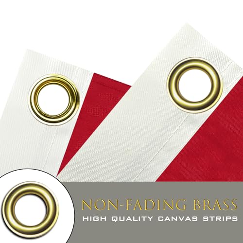 Denmark Flag 3x5 Danish Dane National Flag Banner Outdoor Heavy Duty 240D Nylon Striped Sewn Danish Flags 3 X 5 Ft Vivid Color with 2 Brass Grommets for Indoor Wall Outdoor by tnpun - Used condition - Image 3