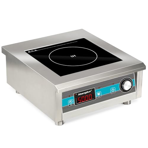 Abangdun Plaque à Induction Professionnelle 1 feu 5000W, Plaque Induction Portable Puissante en Inox pour Restauration, avec 20 Niveaux de Puissance...