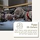 Digitale Haustierwaage, kleine Tierwaage, Futterwaage, Gramm und Unzen, 15 kg, Gemüse, Obst, Küche, elektronische Gewichtswaage mit Maßband, für Kätzchen/Welpen/Hamster/kleine Vögel/Kaninchen