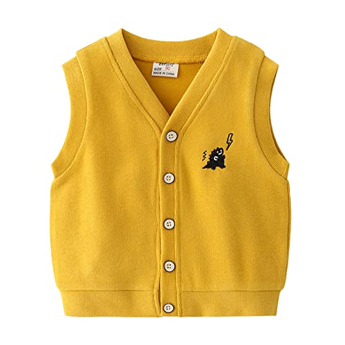 sfdgfhyf Toddler Boys School 𝐔niform Sweater Vest Button Down V-Neck Sleeveless Knitted Sweater Baby Dinosaur