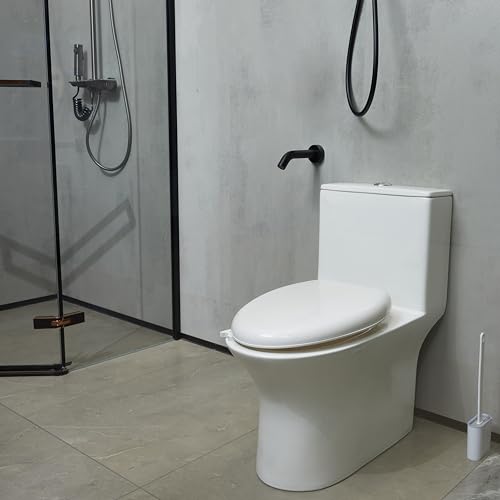 Image of Amazon Basics Slow Close Toilet Seat Cover with High Gloss Finish, Oval Shape, White, Polypropylene