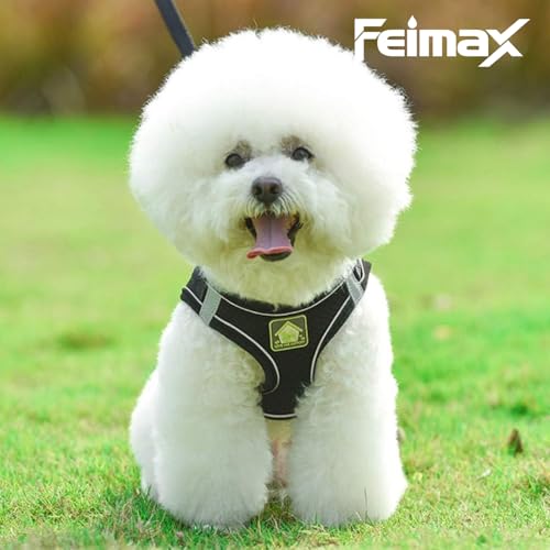 Image of FEimaX Dog Harness and Leash Set Puppy and Kitten Vest Reflective for Safe