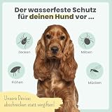 Noms+ Zpot-on wasserfestes Zeckenmittel für Hunde Jahresvorrat | Spot On mit pflanzenbasierten Wirkstoffen & DMSO | gegen Zecken, Milben, Flöhe, Sandmücken