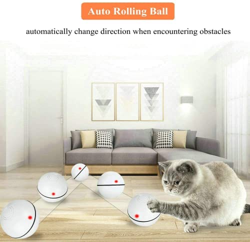 Pakoo Interactive Cat Toys Ball Smart Automatic Rolling Kitten Toys Usb Rechargeable Motion Ball + Spinning Led Light With Timer Function The Best Entertainment Exercise Gift For Your Kitty #TOP2