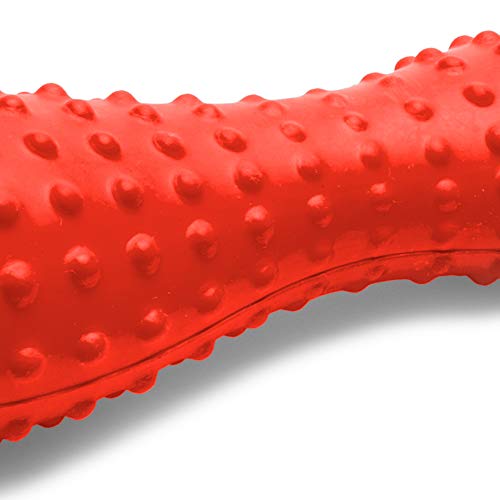 Ruffwear - Gourdo, Sockeye Red, Small #TOP1
