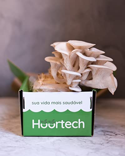 Cogubox - Caixa Cultivo De Cogumelo Shimeji Branco Em 7 Dias