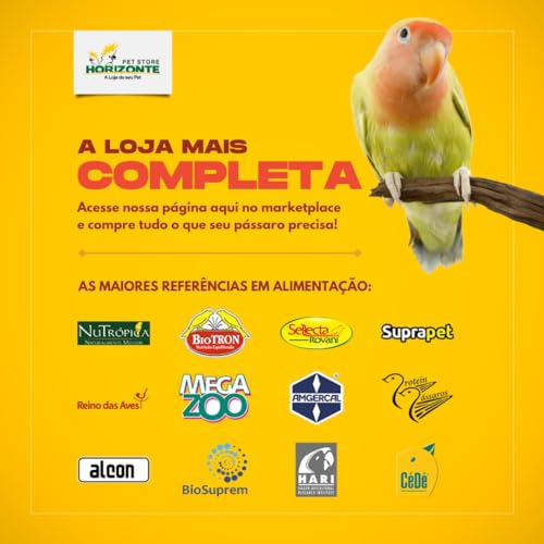 Ponteira Aço Inox Cânula Agulha Tratar Filhotes Pássaros Seringa 2.7mm Ring Neck Calopsita Papagaio