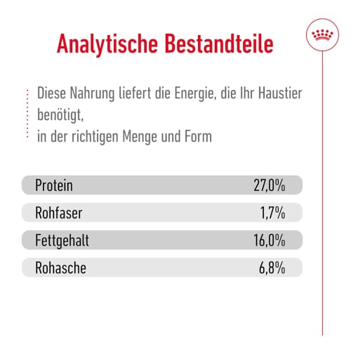 ROYAL CANIN MINI Adult Trockennahrung für Hunde – 0.8 kg
