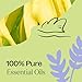 Plant Therapy Sleep Aid Essential Oil Blend 10 mL (1/3 oz) 100% Pure, Undiluted, Relaxing Aromatherapy for Better Sleep
