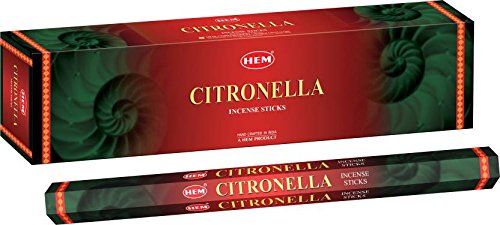 IDEE UV Protected Rectangular Sunglasses (IDS1978C4SG|60|Matte Black )