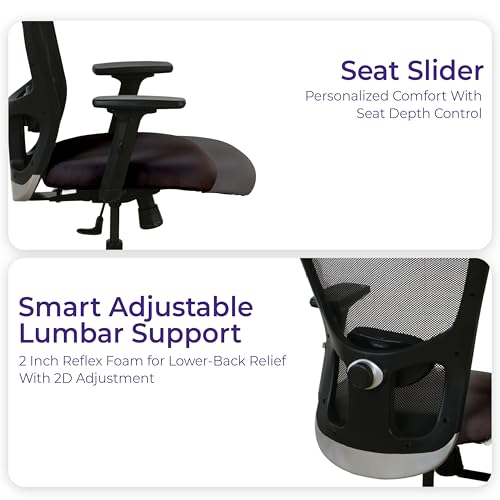Image of Wakefit Albus Ergonomic Office Chair for Work | 3 Year Warranty | Multi-Lock Seat Slider and Recline | Soft Armrest with 3D Adjustability| Strong Nylon Base | 8+ Hours of Comfort | Black
