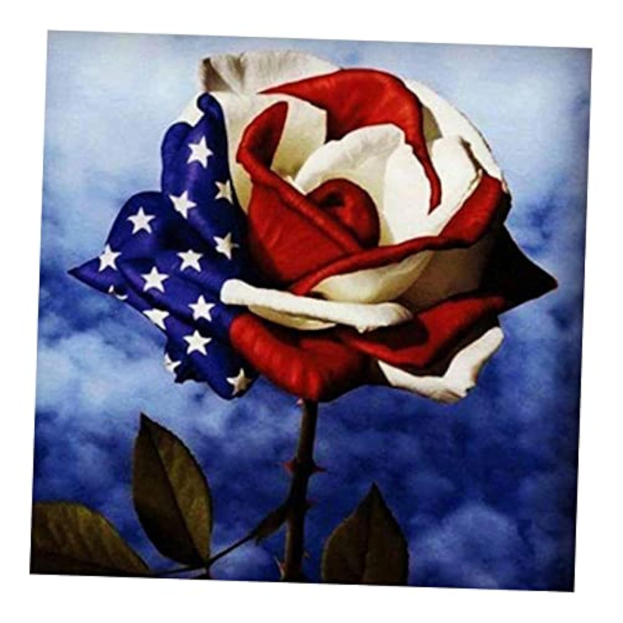 Modern 5D Diamond Painting Kits for Home Wall Decor