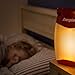 Energizer All-Weather LED Lantern, IPX4 Water Resistant, Bright and Durable Camping Lantern - Compact Emergency Light