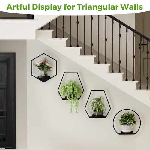 DEMEGA Wall Planters for Indoor Plants, Plant Frames Wall Decor Living Room Plant Stand Hanging Wall Plants Holder to Hold Large Pots Wall Plant Hanger Window Plant Shelves for Outdoor Entryway by DEMEGA - Image 6