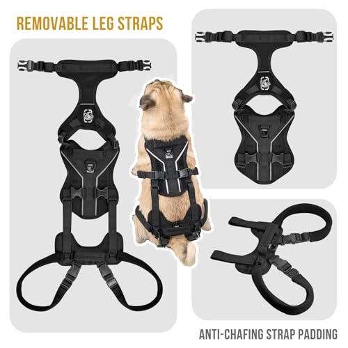 OneTigris Dog Lift Harness for Small Dogs XS, Dog Sling Carrier for Small Dogs, Full Body Lift Vest with Reflective Straps, Support Harness for Back Legs (Black, XX-Small) by ONETIGRIS - Image 5