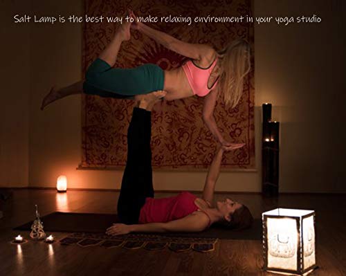 Indusclassic Ln-04 Natural Himalayan Pink Crystal Rock Salt Lamp 6~9 Lbs With Dimmer Control Switch, 2 Extra Bulbs, Quality Gift Packaging #TOP3