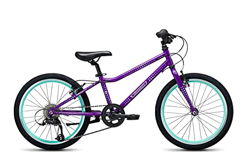Guardian Bike Company Ethos Safer Patented Surestop Brake System 20" Kids Bike, Purple/Aqua #TOP13