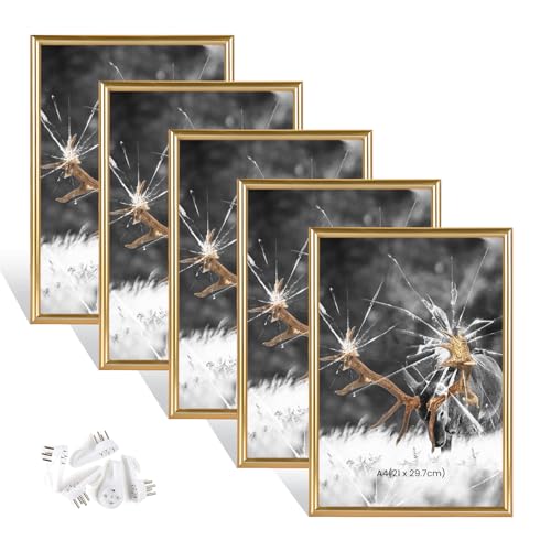 Dmyifan 5er Bilderrahmen DIN A4 Gold Set, Fotorahmen mit Plexiglas, Rahmen zum Stellen und Hängen für Fotos, Portraits | Picture Frame
