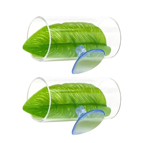 ANgltpbhzՉBƋxexbhِnx^tpbh