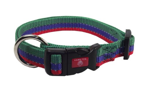 Hamilton 1-Inch Adjustable Dog Collar With Reflective Threads, 18 To 26-Inch, Green/Blue/Red #TOP15
