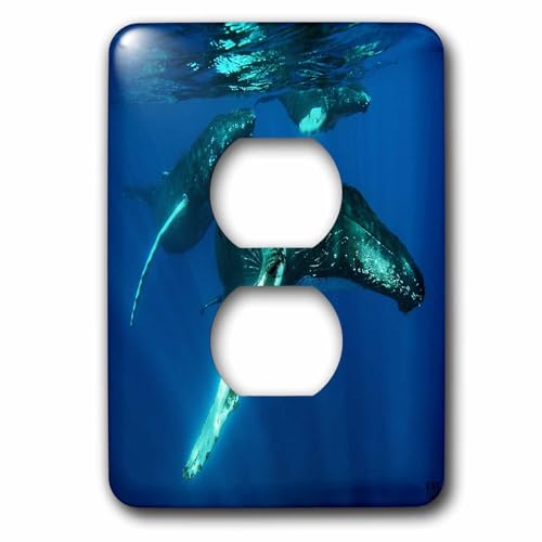 Cache-prise avec 2 baleines 3dRose lsp_9943_6 pour sublimer une prise murale austère