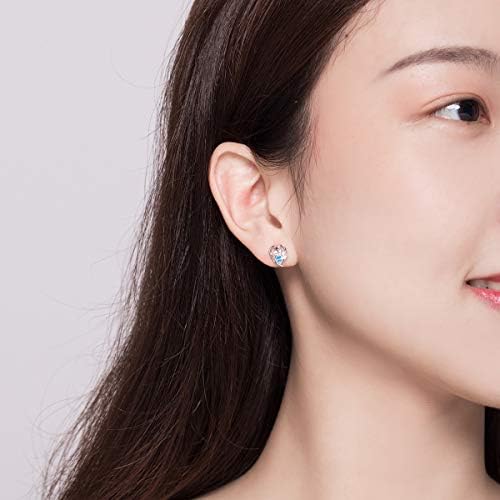 Cute Puppy Dog Cat Paw Print Stud Earrings S925 Sterling Silver Lovely Pink Crystal Clear CZ Endless Love Heart Earring Studs Hypoallergenic Jewelry Gifts for Pet Lovers Little Girls Women
