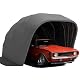 Caulo Allwetterfester Carport